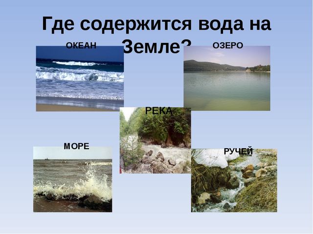 Презентация "Роль воды в жизни человека"