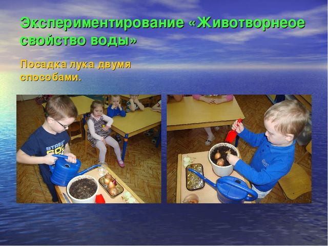 Презентация к проекту "Что за волшебница водица - чудесница"