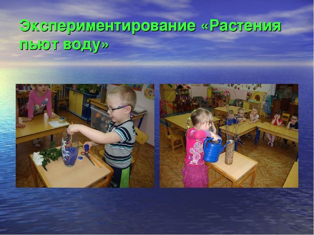 Презентация к проекту "Что за волшебница водица - чудесница"