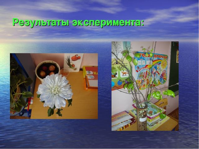 Презентация к проекту "Что за волшебница водица - чудесница"