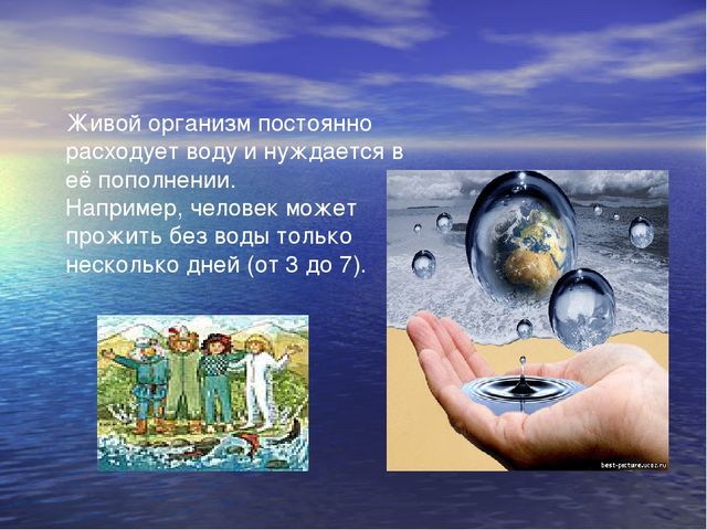 Презентация проекта: “ Вода – источник жизни ”. Творческое название проекта: “ Вода в природе и в жизни человека ”.