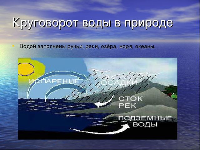 Презентация проекта: “ Вода – источник жизни ”. Творческое название проекта: “ Вода в природе и в жизни человека ”.