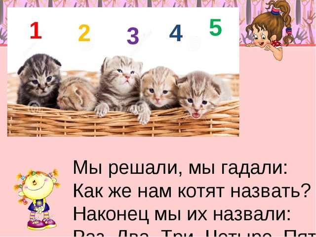 У маши живут 5 котят. 5 Котят Михалкова. Михалков с. "котята". Михалков котята презентация. Стих про 5 котят.