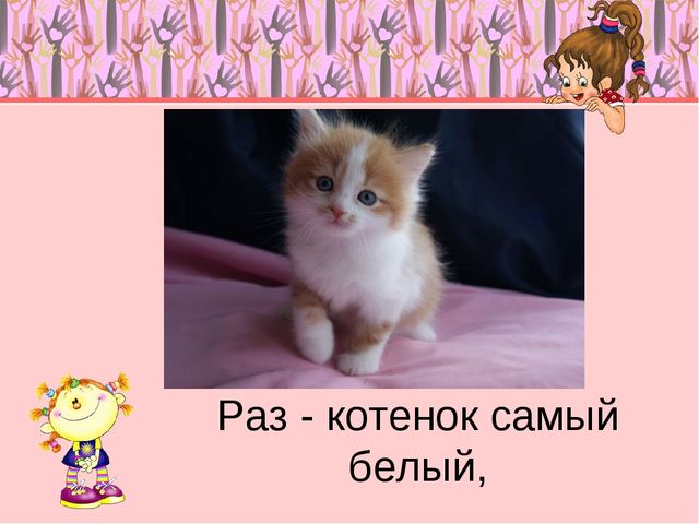 Презентация про котят