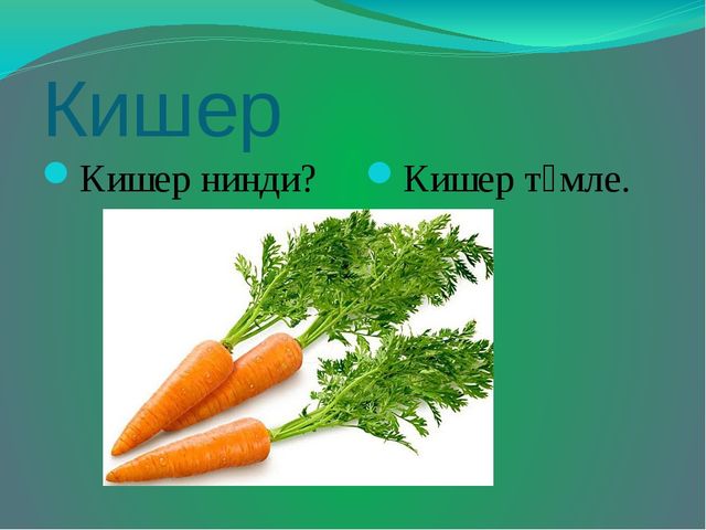 Презентация на тему "Яшелчәләр"