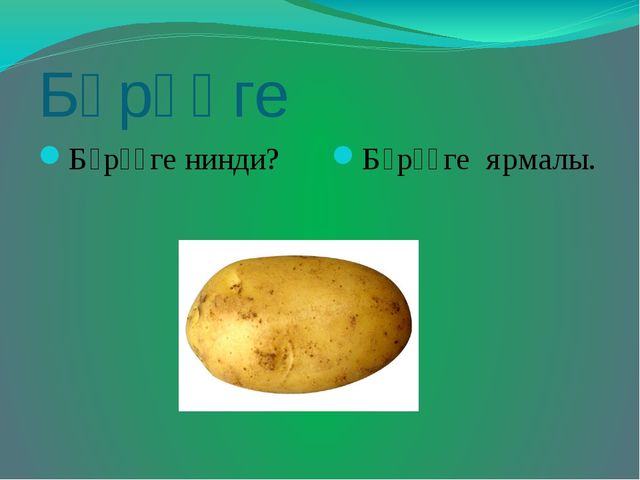 Презентация на тему "Яшелчәләр"