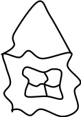 Shape11