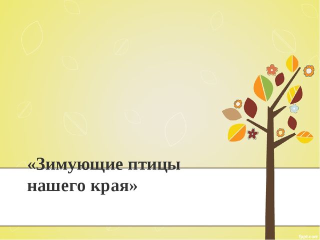 Презентация к проекту "Птицы"