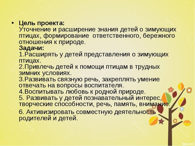 Презентация к проекту "Птицы"