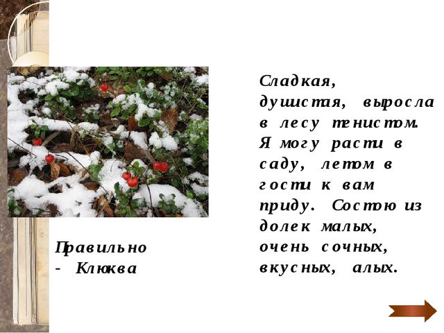 Презентация для детей старшего дошкольного возраста "Путешествие в лес по ягоды"
