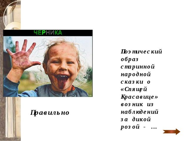 Презентация для детей старшего дошкольного возраста "Путешествие в лес по ягоды"
