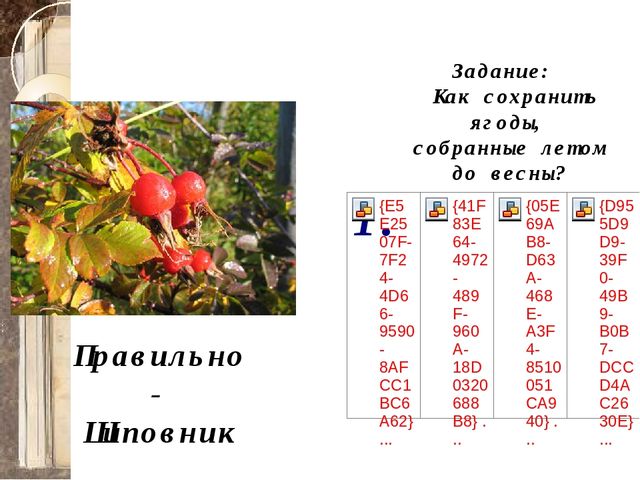 Презентация для детей старшего дошкольного возраста "Путешествие в лес по ягоды"