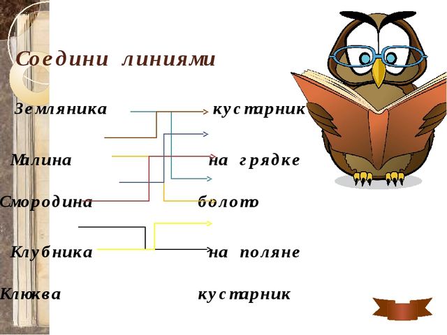 Презентация для детей старшего дошкольного возраста "Путешествие в лес по ягоды"