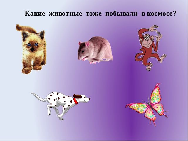 Презентация к интегрированному занятию с использованием ИКТ в старшей группе. Тема «Таинственный космос».