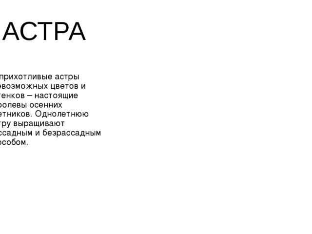 Презентация на тему "Цветочная Азбука"