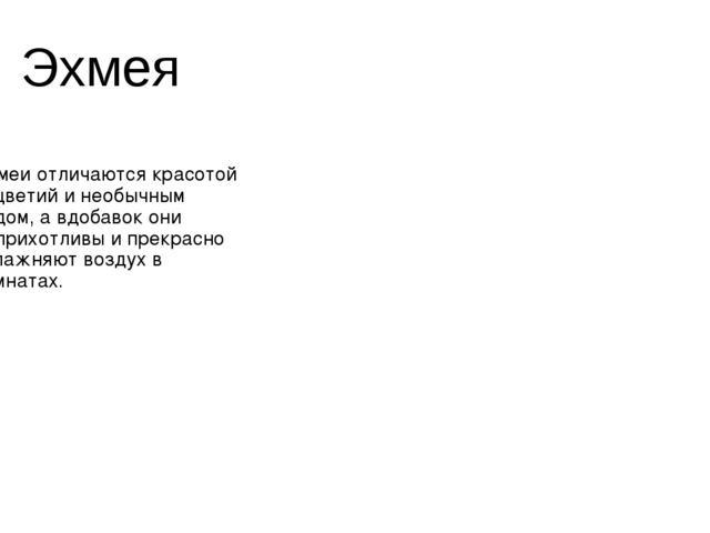 Презентация на тему "Цветочная Азбука"
