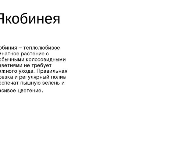 Презентация на тему "Цветочная Азбука"