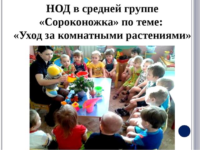 Квалификационный экзамен «Экологический подход к содержанию комнатных растений в ДОО»