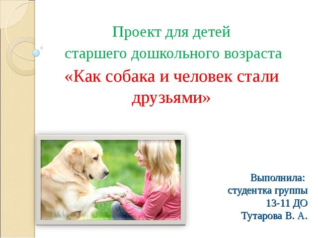 Презентация "Проект для детей старшего дошкольного возраста «Как собака и человек стали друзьями»"