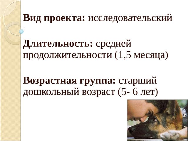 Презентация "Проект для детей старшего дошкольного возраста «Как собака и человек стали друзьями»"