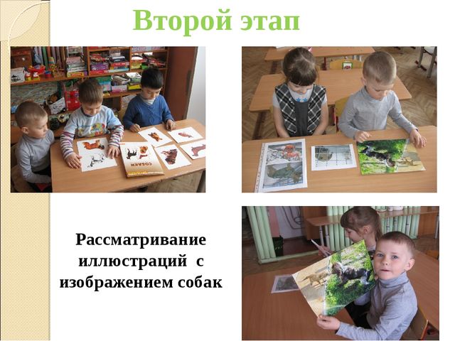 Презентация "Проект для детей старшего дошкольного возраста «Как собака и человек стали друзьями»"