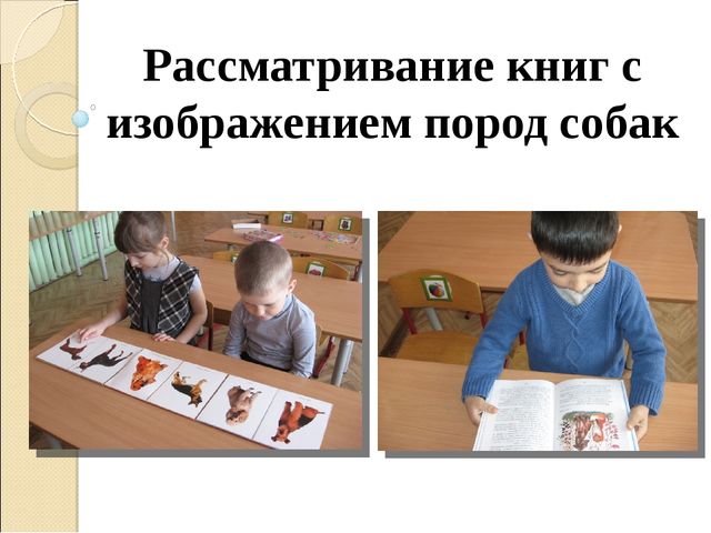 Презентация "Проект для детей старшего дошкольного возраста «Как собака и человек стали друзьями»"
