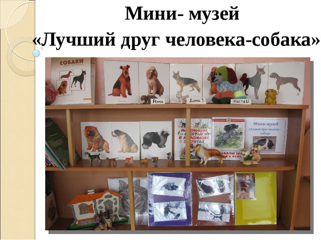Презентация "Проект для детей старшего дошкольного возраста «Как собака и человек стали друзьями»"