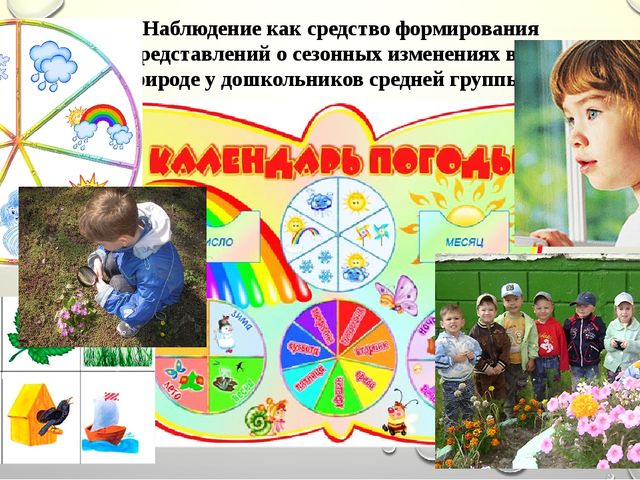 Презентация "ГЛАВА 2. ОПЫТНО-ПОИСКОВЫЕ ИССЛЕДОВАНИЯ ПО ФОРМИРОВАНИЮ ПРЕДСТАВЛЕНИЙ О СЕЗОННЫХ ИЗМЕНЕНИЯХ В ПРИРОДЕ У ДОШКОЛЬНИКОВ СРЕДНЕЙ ГРУППЫ"