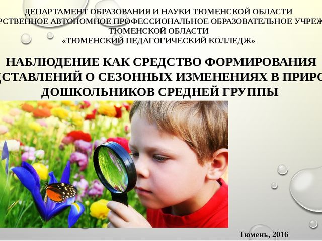 Презентация "ГЛАВА 2. ОПЫТНО-ПОИСКОВЫЕ ИССЛЕДОВАНИЯ ПО ФОРМИРОВАНИЮ ПРЕДСТАВЛЕНИЙ О СЕЗОННЫХ ИЗМЕНЕНИЯХ В ПРИРОДЕ У ДОШКОЛЬНИКОВ СРЕДНЕЙ ГРУППЫ"