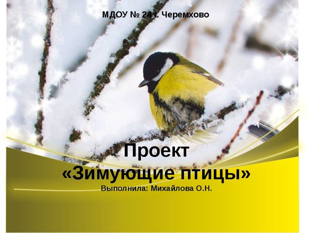 Презентация по окружающему миру "Зимующие птицы"