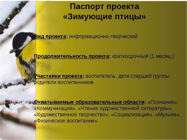 Презентация по окружающему миру "Зимующие птицы"