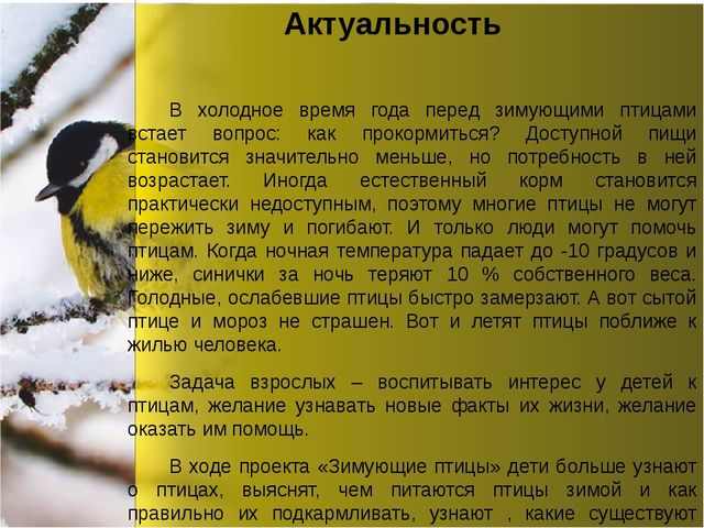 Презентация по окружающему миру "Зимующие птицы"
