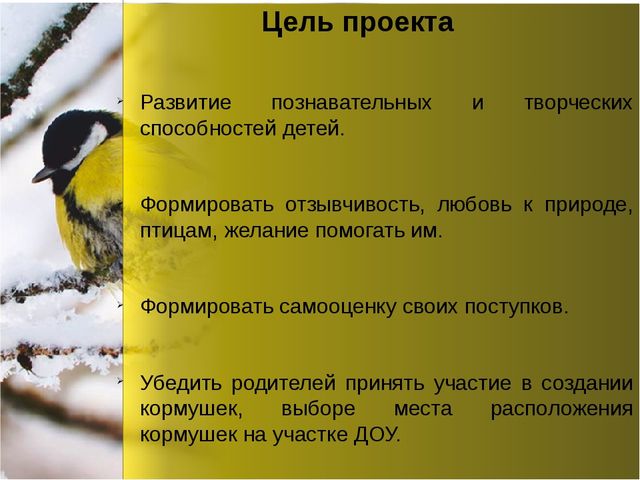 Презентация по окружающему миру "Зимующие птицы"