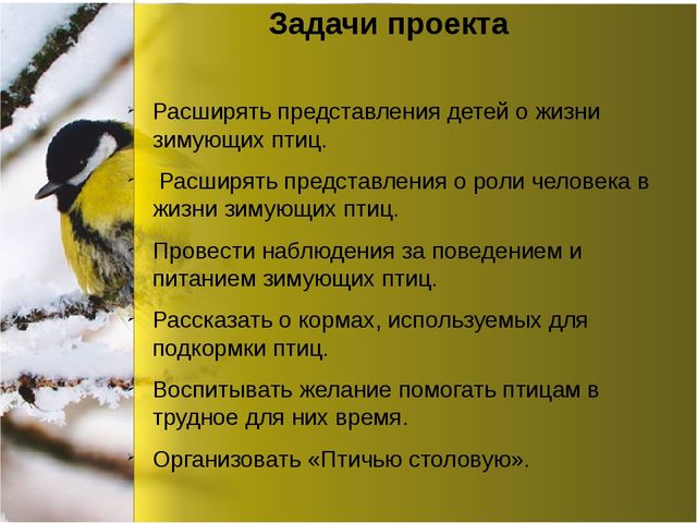 Презентация по окружающему миру "Зимующие птицы"