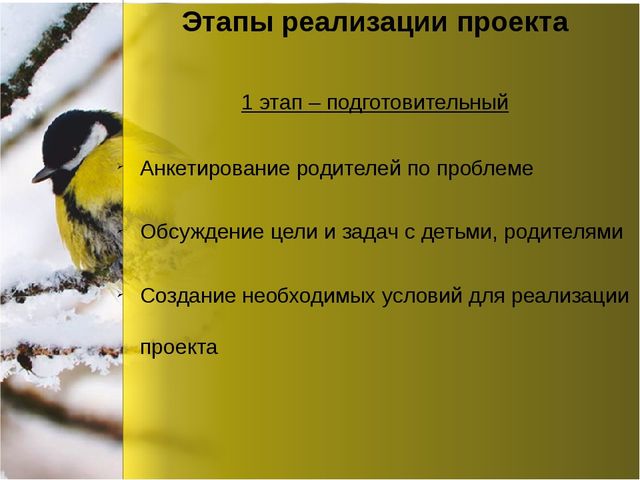 Презентация по окружающему миру "Зимующие птицы"