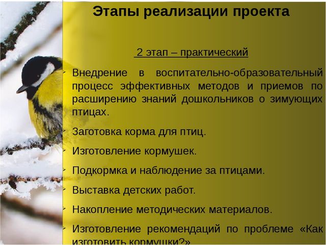 Презентация по окружающему миру "Зимующие птицы"
