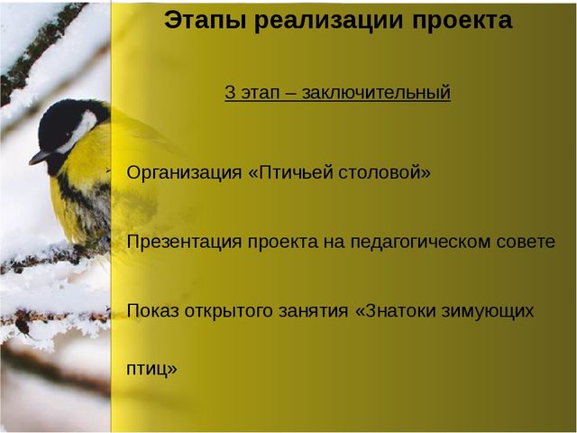Презентация по окружающему миру "Зимующие птицы"