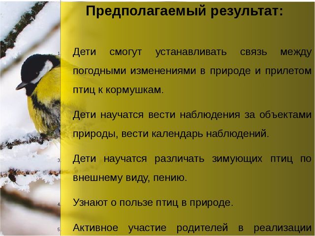 Презентация по окружающему миру "Зимующие птицы"