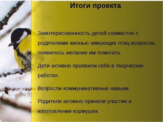 Презентация по окружающему миру "Зимующие птицы"