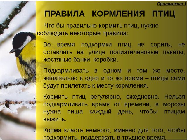 Презентация по окружающему миру "Зимующие птицы"