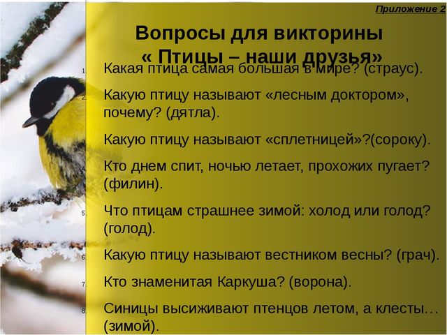 Презентация по окружающему миру "Зимующие птицы"
