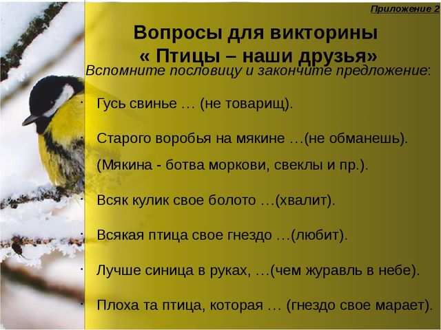 Презентация по окружающему миру "Зимующие птицы"