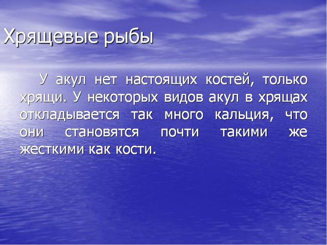 Презентация по окружающему миру "Акулы-подводные хищники"