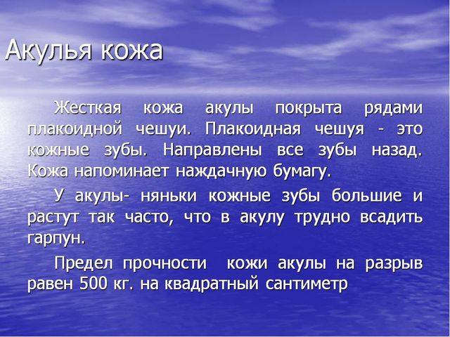 Презентация по окружающему миру "Акулы-подводные хищники"