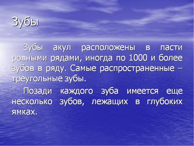 Презентация по окружающему миру "Акулы-подводные хищники"