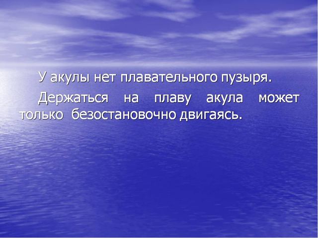 Презентация по окружающему миру "Акулы-подводные хищники"