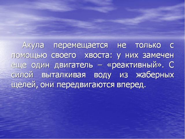 Презентация по окружающему миру "Акулы-подводные хищники"