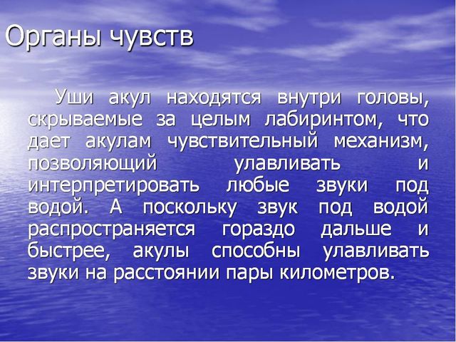 Презентация по окружающему миру "Акулы-подводные хищники"