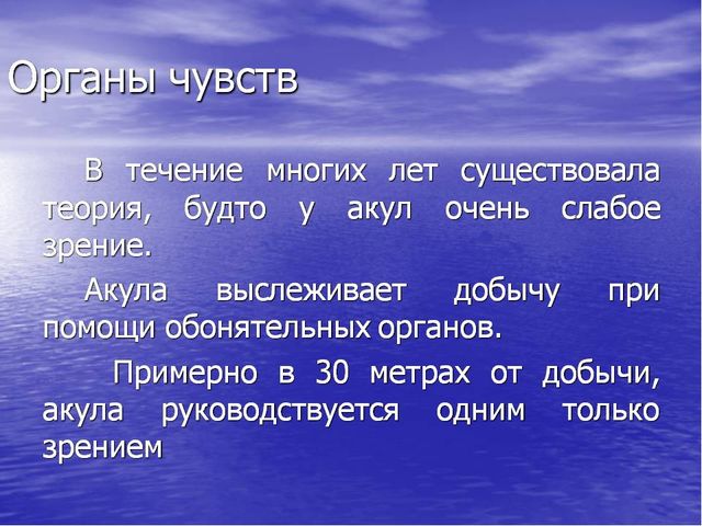 Презентация по окружающему миру "Акулы-подводные хищники"