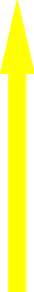 Shape5